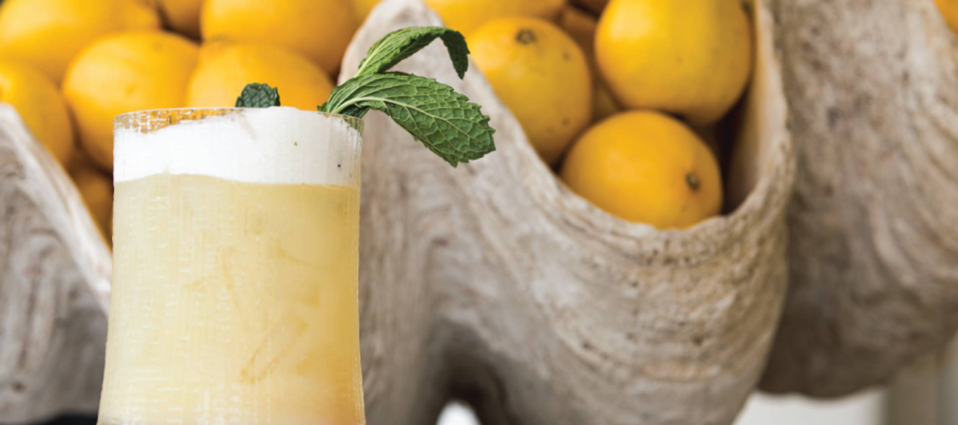 Harmony Gin Fizz Cocktail