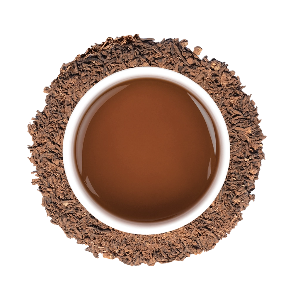 Pantone Color of the Year 2025 Mocha Mousse