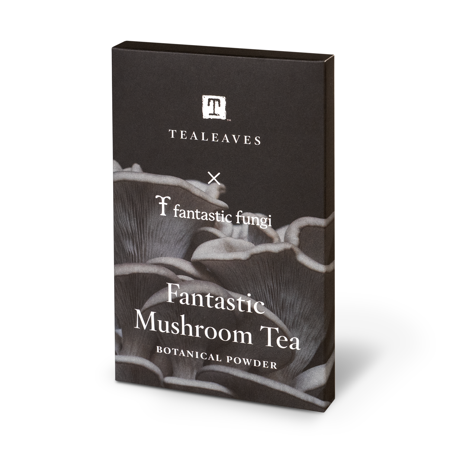 Fantastic Mushroom Tea